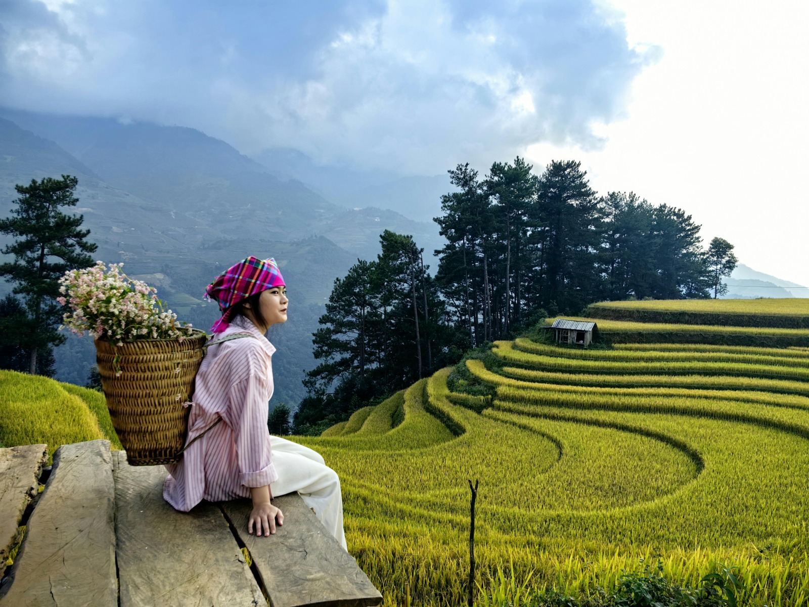 Vietnam 